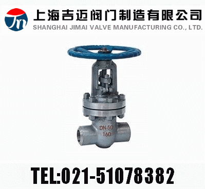 Z61HZ61YZ61W  PN100~PN160 в庸Шʽly